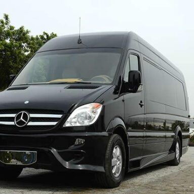 Mercede Benz party bus