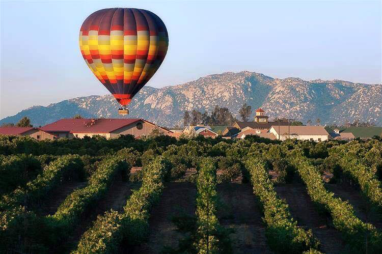 temecula-luxury-wine-tours